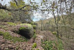 IMG20251117143626_result