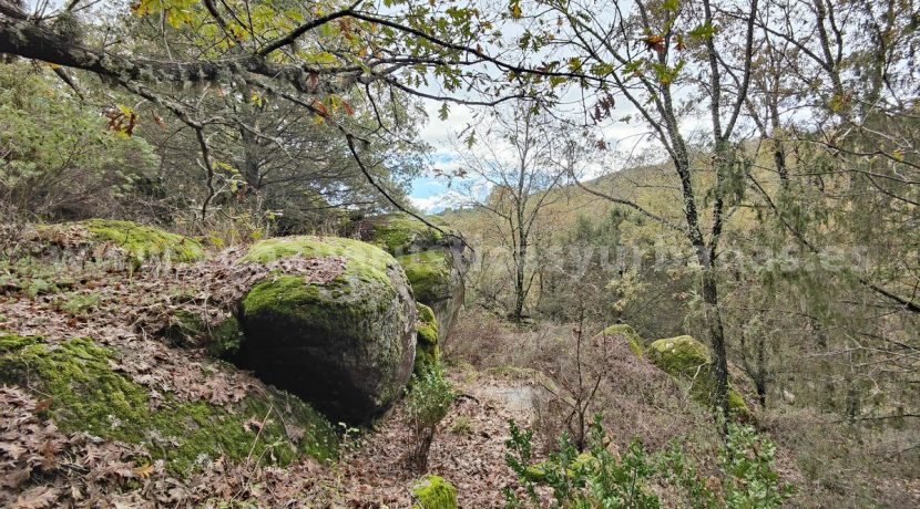 IMG20251117143626_result