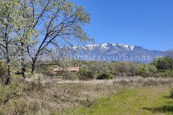 IMG20260331124602_result