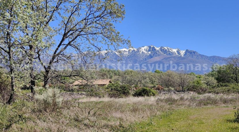 IMG20260331124602_result