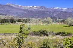 IMG20260331125840_result