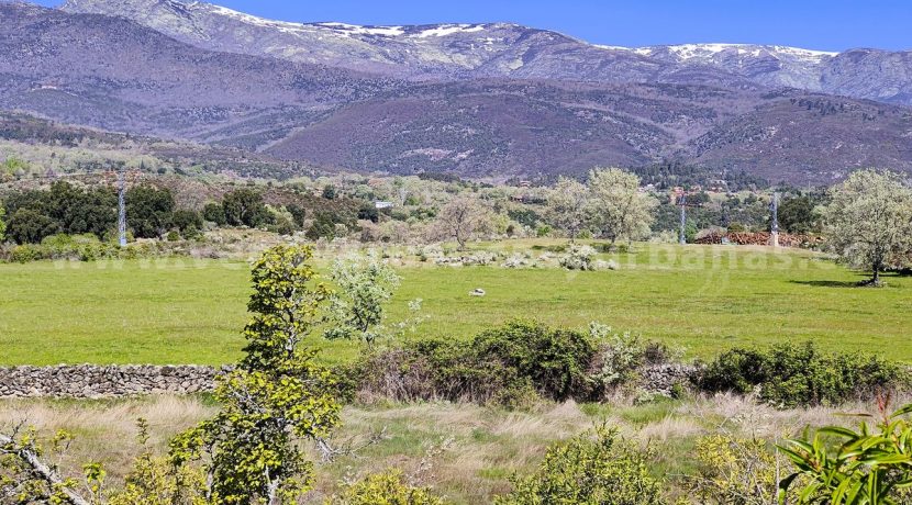 IMG20260331125840_result