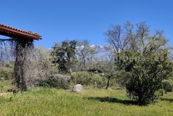 IMG20260331130335 (2)_result