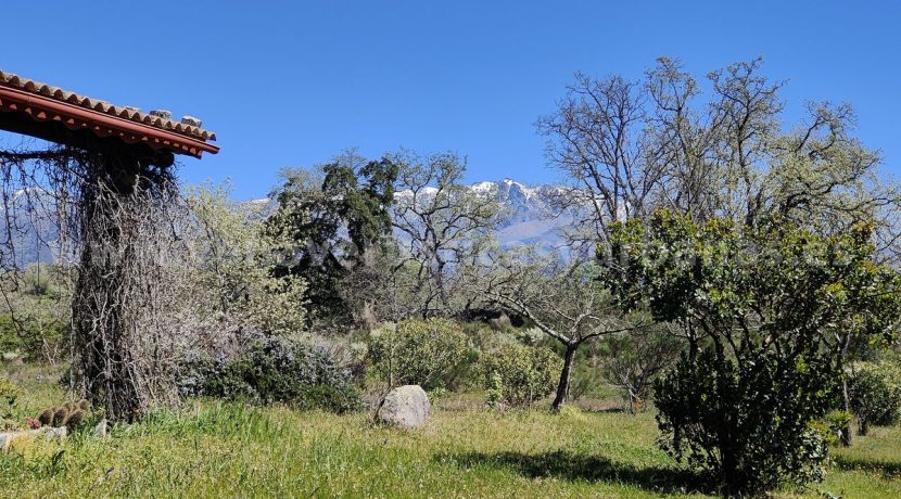 IMG20260331130335 (2)_result