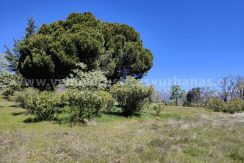 IMG20260331130427_result