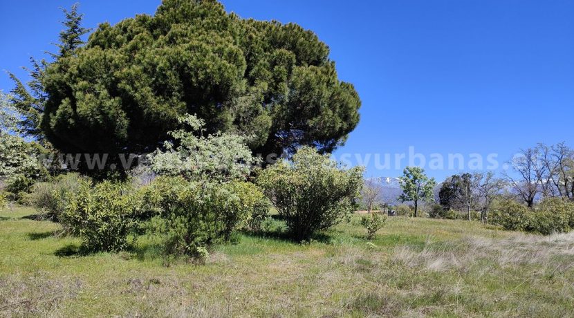 IMG20260331130427_result