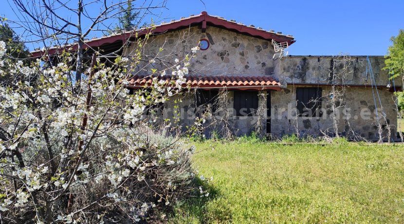 IMG20260331130623_result