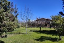 IMG20260331131136 (2)_result