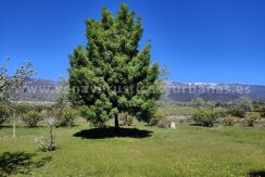 IMG20260331131228 (1)_result