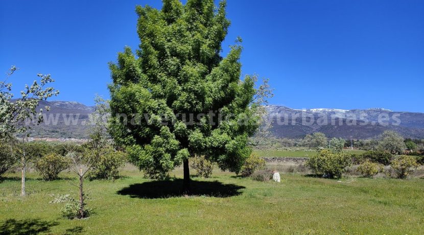 IMG20260331131228 (1)_result