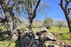 IMG20260331132101_result