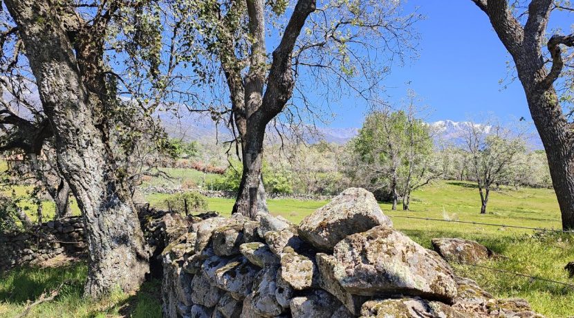 IMG20260331132101_result