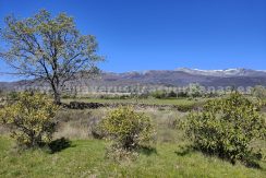 IMG20260331132311_result