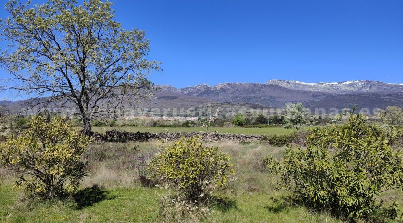 IMG20260331132311_result