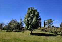 IMG20260331132328 (1)_result