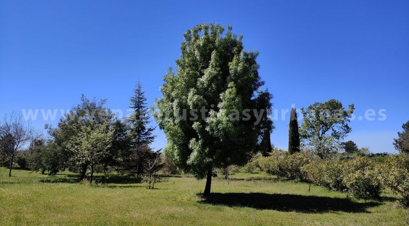 IMG20260331132328 (1)_result