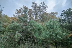 a92ce153-c6b5-4910-aaef-48ce23beae2e_result