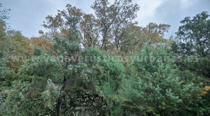 a92ce153-c6b5-4910-aaef-48ce23beae2e_result