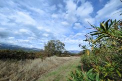 ae2f556e-a3d1-4bf4-984b-5d8dcbc9c08d_result