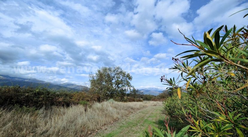 ae2f556e-a3d1-4bf4-984b-5d8dcbc9c08d_result