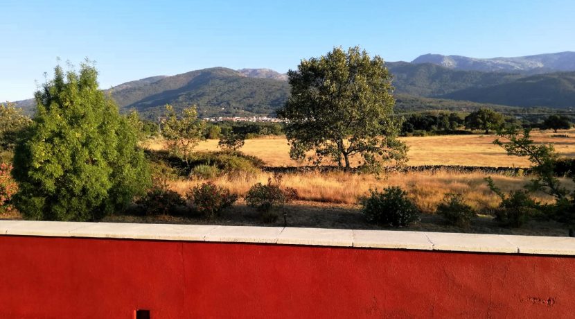 c5e82ee8-90ac-4ffb-8b2d-9554a2e49a3b