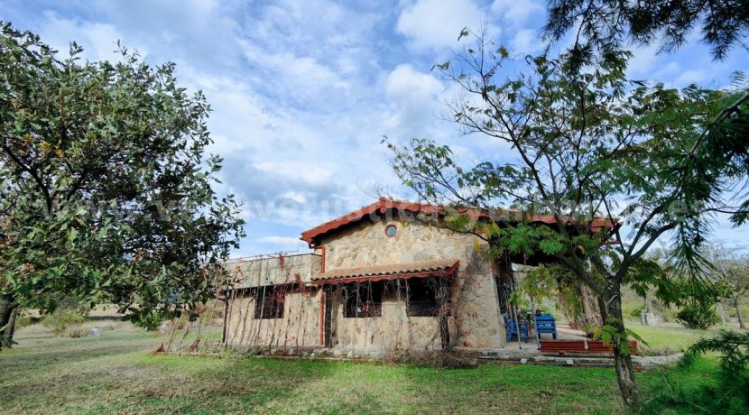 ca8c95ef-1b70-4d02-b6f0-9275a1d027d5_result