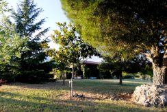 cf2438be-99a2-40b0-a06d-a002c2c3ab48