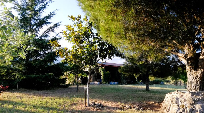 cf2438be-99a2-40b0-a06d-a002c2c3ab48