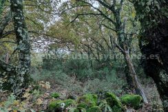 d51c4e4b-9140-437c-b3ec-ae88c2bd3b95_result