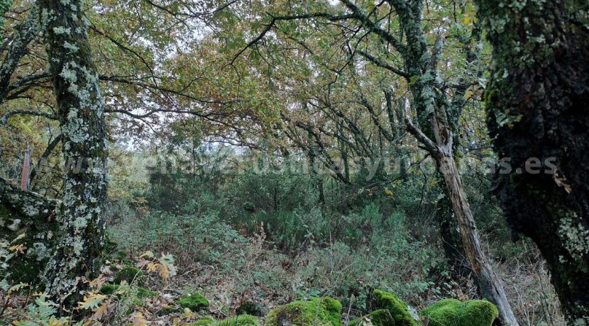 d51c4e4b-9140-437c-b3ec-ae88c2bd3b95_result