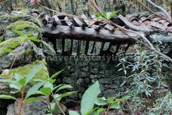 d96b3ec3-aa58-436b-8019-92bceb942025_result