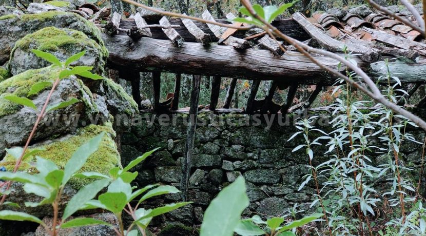 d96b3ec3-aa58-436b-8019-92bceb942025_result