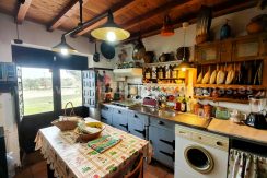 e9d9f065-7be8-46d4-8908-7e0ffebc19d2_result