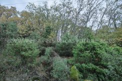 ea9627d3-1001-4c39-8701-0b40642d77ed_result