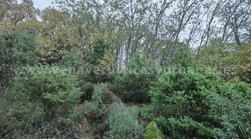 ea9627d3-1001-4c39-8701-0b40642d77ed_result