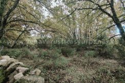 f1bacbdb-c851-46f3-a965-8440c8f6b08d_result