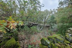 f4fb7026-4b40-40b3-b634-5620738b7647_result