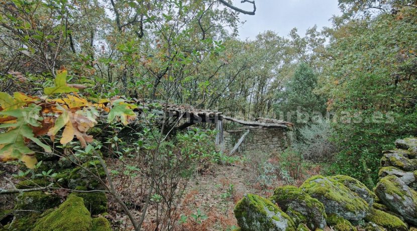 f4fb7026-4b40-40b3-b634-5620738b7647_result