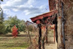 f5b99d5a-3a8f-42f9-80f4-cd9942f58fd5_result