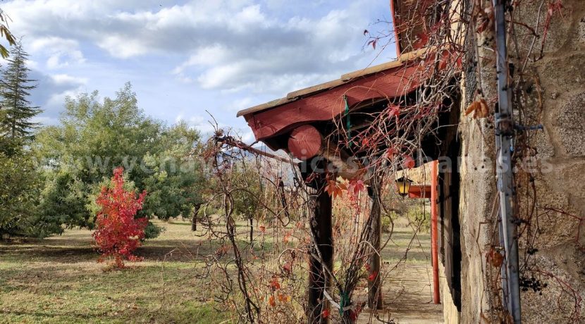 f5b99d5a-3a8f-42f9-80f4-cd9942f58fd5_result