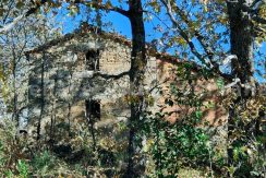 0ae67f38-fc63-4d52-9b24-aac4db1c1d3a_result