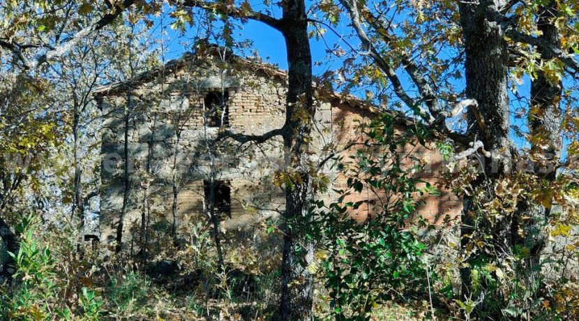 0ae67f38-fc63-4d52-9b24-aac4db1c1d3a_result