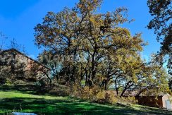 17f46d14-6f75-493b-9bfb-ee74a669e176_result