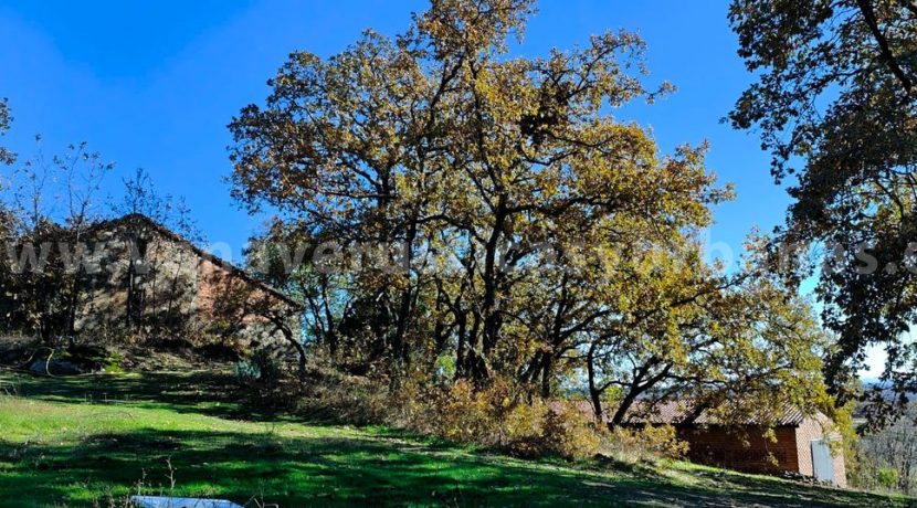 17f46d14-6f75-493b-9bfb-ee74a669e176_result