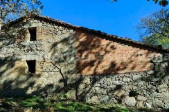 1a38b79a-0149-4010-8766-28f9a606ba4d_result