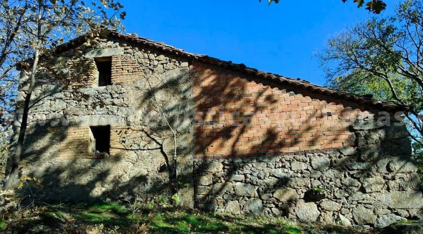 1a38b79a-0149-4010-8766-28f9a606ba4d_result