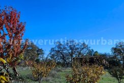 1bae8bcd-af60-404a-aa2a-18e6fc816a17_result