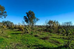 27326014-482c-48db-88c7-c1ccc7c8f204_result