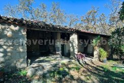 2ab806ca-99ed-4606-93e2-87739884f742_result