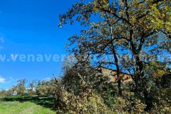 31d30dd2-e064-4f64-a5ba-db93652911d7_result